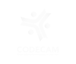 Codecam