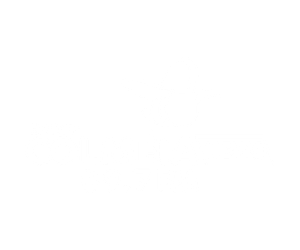 Colmeia News 89,7 FM